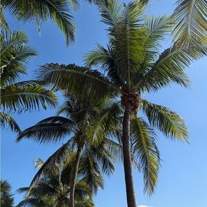 Meet your Posher, Mateusz